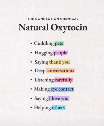 522619436_4046815698798138_4639282753245031837_n