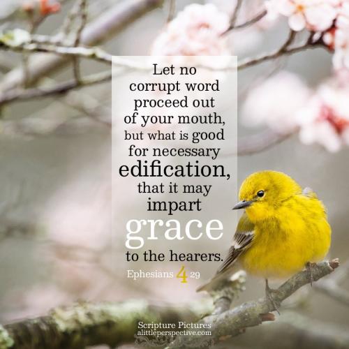 eph-4-29-NKJV-unsplash