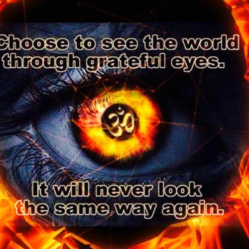 1865ae2b03d10219b8a0ffac833f4498