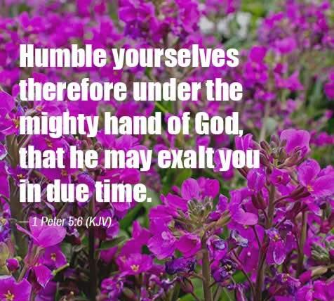 4c3d7ca3-04c2-4ef2-a8d8-36c4cb672b54