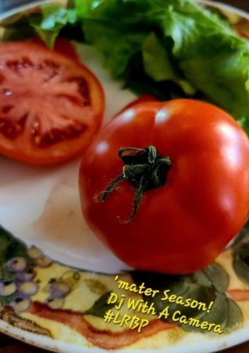 Screenshot_20250720_082453_Gallery