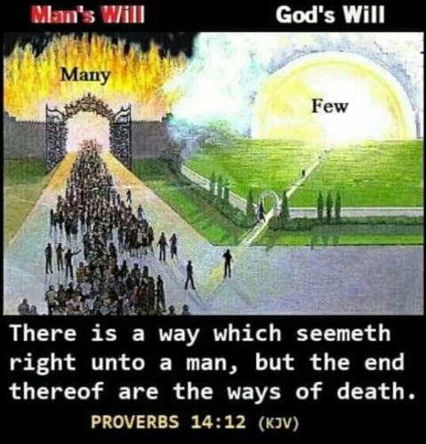 ac1630ba-ed97-431f-b76a-bd64ba66d498