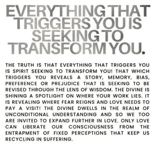 516692099_742860345296827_3600621973915333854_n