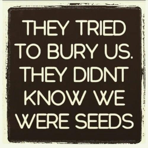 b52eb4925e6b0f9f261efcc63123b2e8