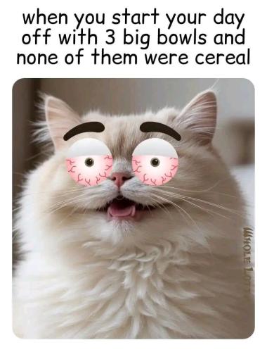 IMG_20250725_140150_885