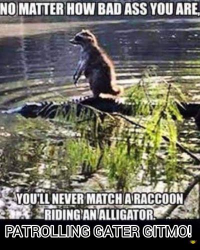 InShot_20250712_122729304~2