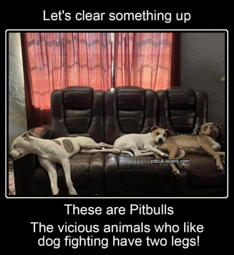 Resized_FB_IMG_1751674169942