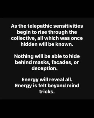 516241000_10161829282554958_8764038331730628937_n