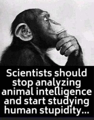 524199530_122180263718393657_1940253570710947961_n