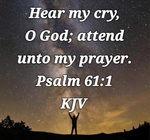 d1bd677a-a48b-462b-8372-0d3f903f7efc