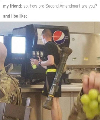 how pro second amendment are you08