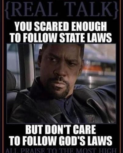 IMG_20250727_081556_744