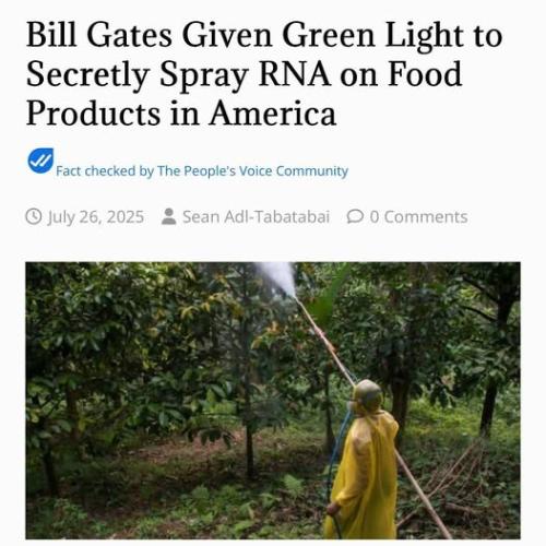 524069478_3624078004395199_6550040675165150196_n