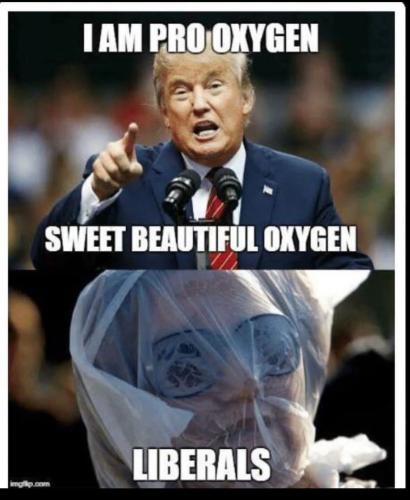 FB_IMG_1753556018470