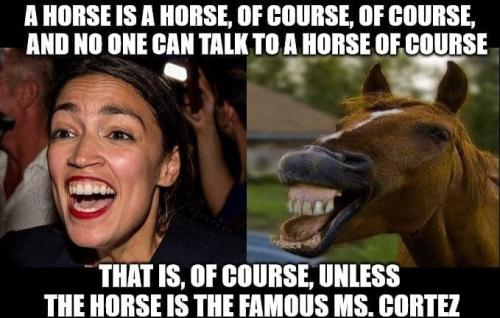 horse is a horse