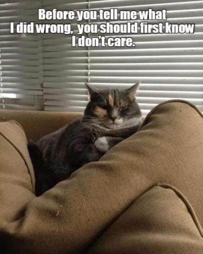 before-tell-did-wrong-should-first-know-idont-care