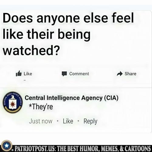 01K11GS6FS4NSHER5BCR4GKJY3