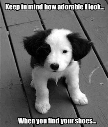 2b85dc99e3249bf8ff039f255c989d2b