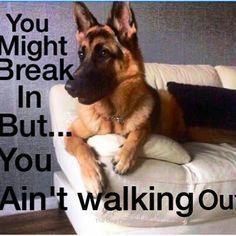 3ea9acf0e6b24023feb314f1a2171fff