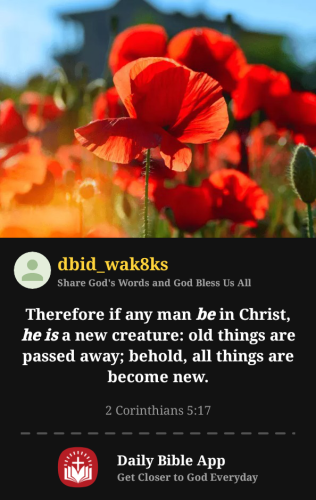 2025-07-111752292531945