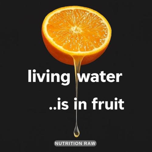 ,     ,    324779683_12676030304