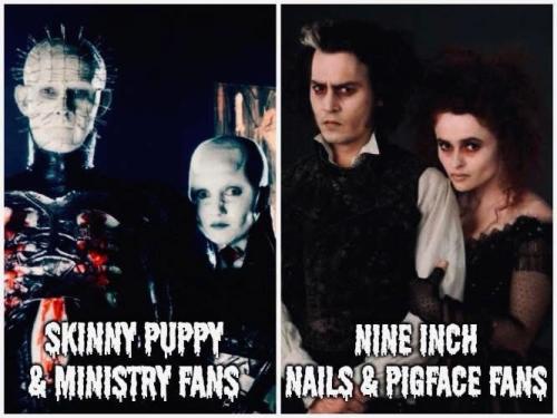 F20F40FD-BCA2-49CF-838A-CC5F3FA3F4BC