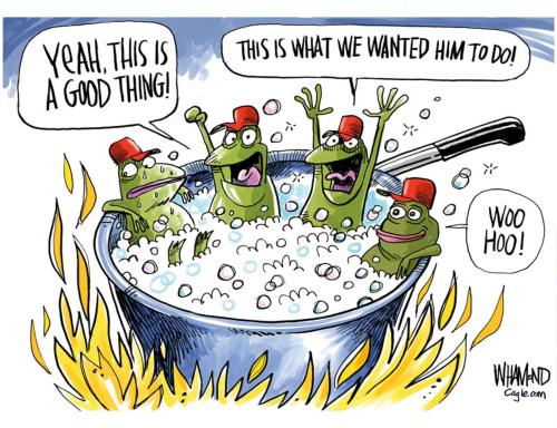 FB_IMG_1752239199805