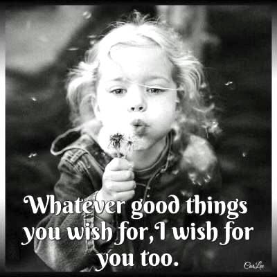 518278170_1073902378204276_1423780668000981053_n