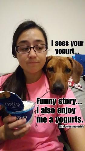 41e01b2e8ae4bcde4fcdbdbb4a735285