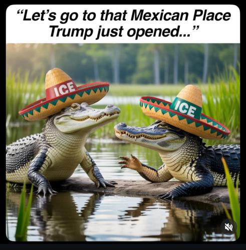 Screenshot_20250704_183141_Instagram