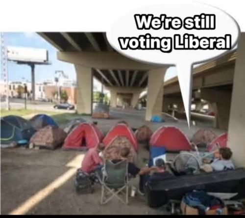 voting liberal