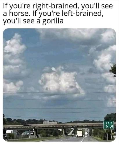 c0d011e8-3038-4dc4-b842-2014bf492eea