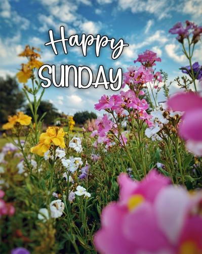 515403012_680752328341348_7147617176130488676_n