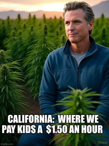 image_2025-07-16_064231262