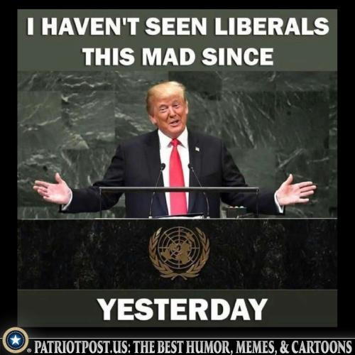 01JZX6XD83YW1PDMC5K9F8RYMN