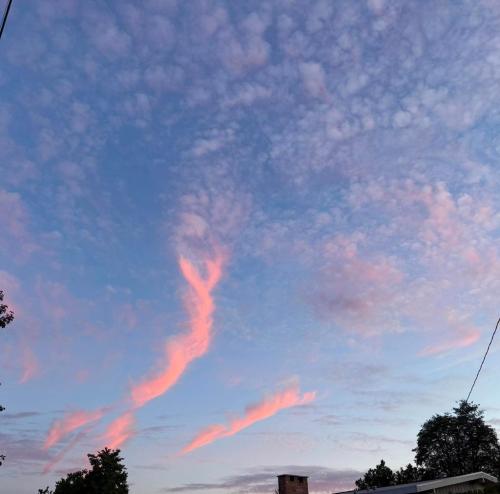 19ccda1d-eb0a-4bbf-b7aa-034ff14433c5