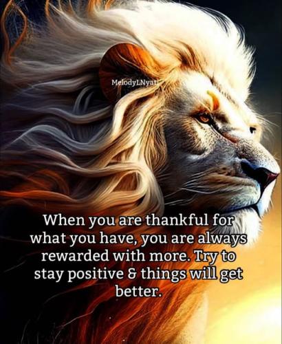 504379884_9437952456304950_4350327271436901723_n