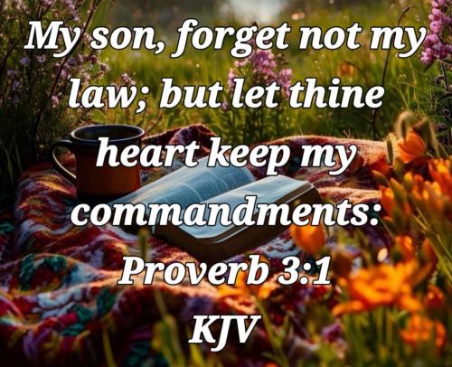 d5724fa1-f793-45fe-a34d-6c3aa8d10ae4