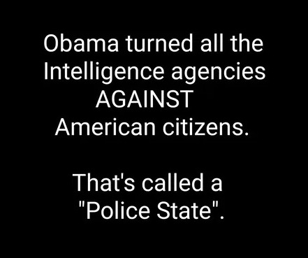 police-state