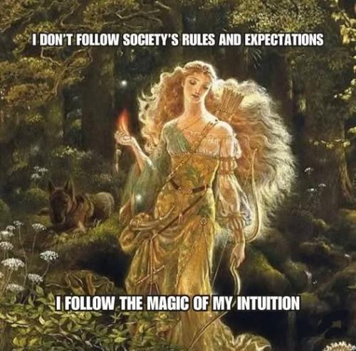 514404385_1780653175873894_2190968874571268106_n