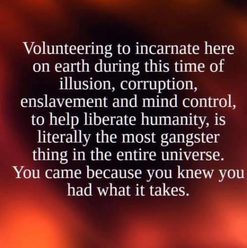 523951504_24153552874261489_1497892239851447019_n