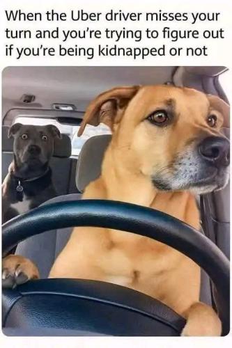 IMG_20250716_105716_427