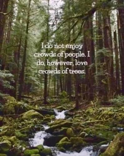 521009395_10161911838009958_1242261396442834780_n