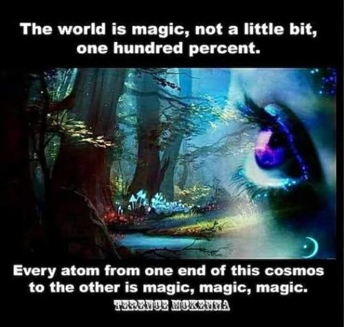 ,   418468121_2428009 (1)