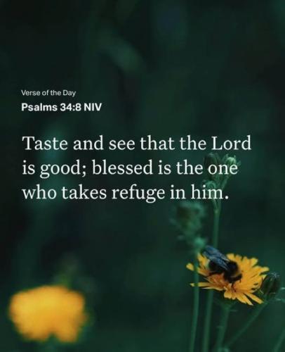 Psalms 34.8