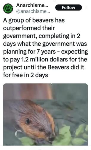 8673c817-c041-4505-9e0b-149220d71e7e