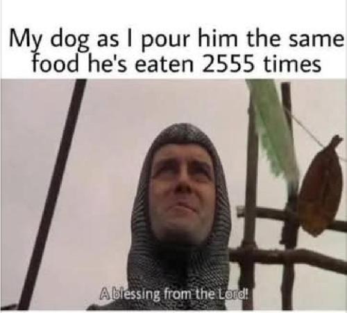 04e84b0e-d29a-408a-9d2a-5f06329b5367