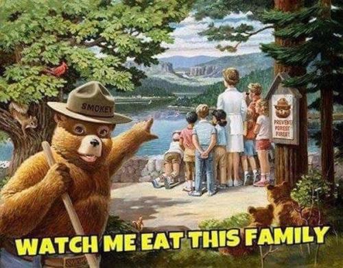smokey the bear