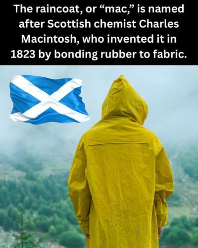 524336831_749314420975399_4506471332367795151_n