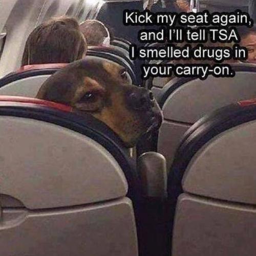 f03489c0617bfaa0906ba7605af18193